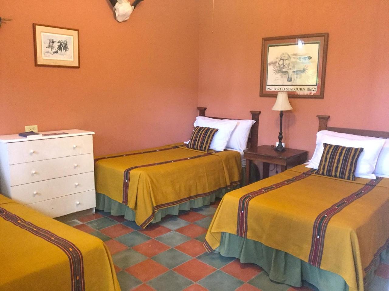 Hotel El Delfin Lívingston Екстериор снимка